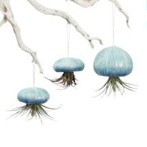 Alternate image Hanging Jellyfish Ceramic Air Plant Holders - Set of 3